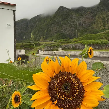 Casa vacanze Casa Do Branco Faja Grande