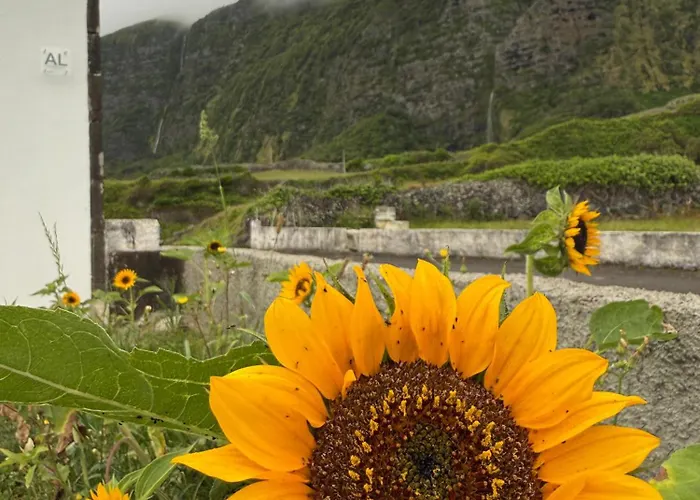 Σπίτι διακοπών Casa Do Branco Faja Grande